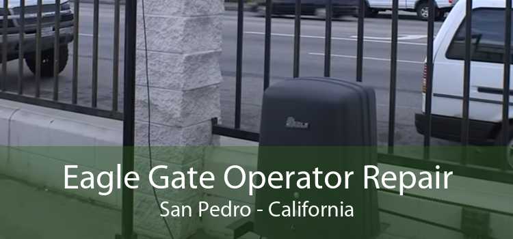 Eagle Gate Operator Repair San Pedro - California