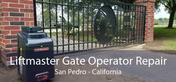 Liftmaster Gate Operator Repair San Pedro - California
